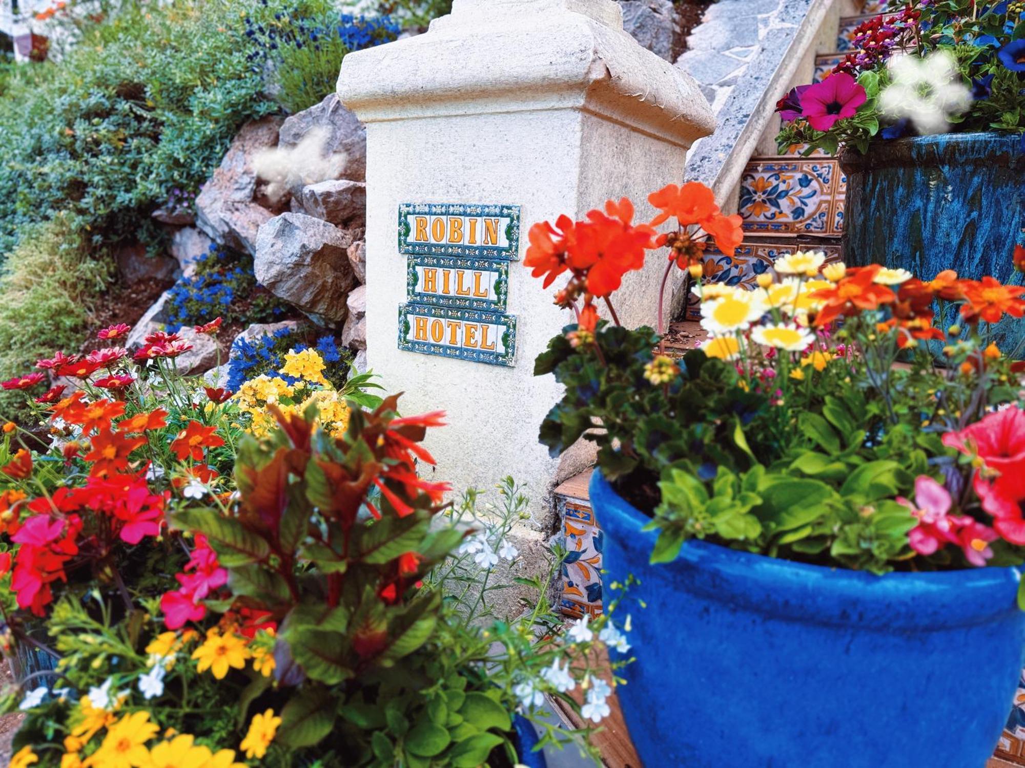 The Robin Hill Bed & Breakfast Torquay Ngoại thất bức ảnh