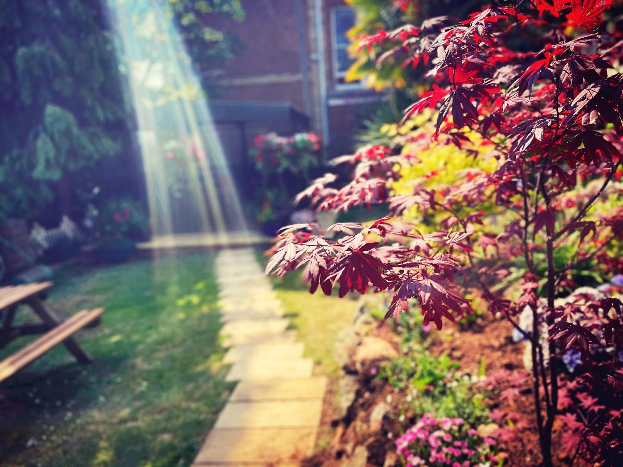 The Robin Hill Bed & Breakfast Torquay Ngoại thất bức ảnh