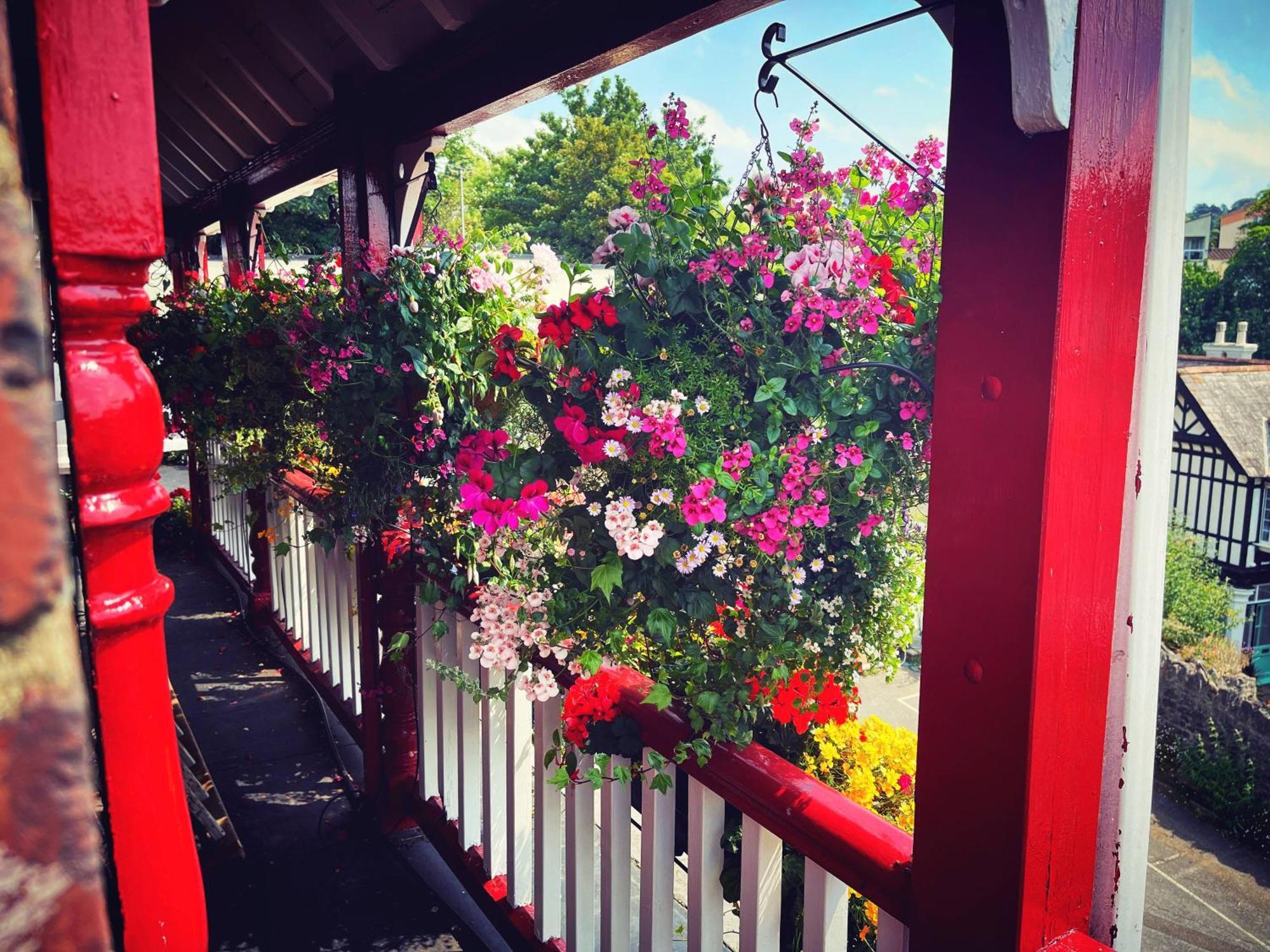 The Robin Hill Bed & Breakfast Torquay Ngoại thất bức ảnh