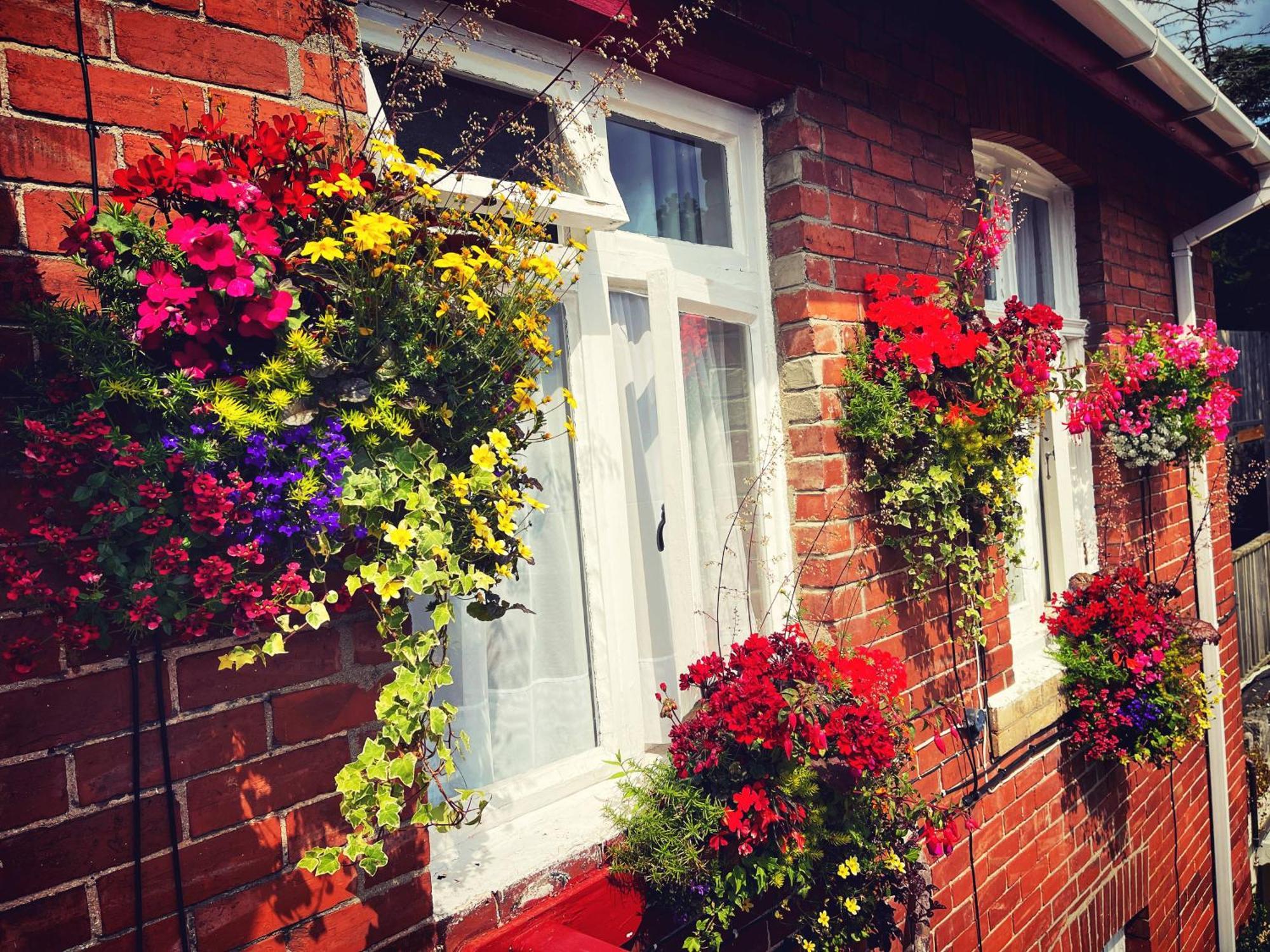 The Robin Hill Bed & Breakfast Torquay Ngoại thất bức ảnh